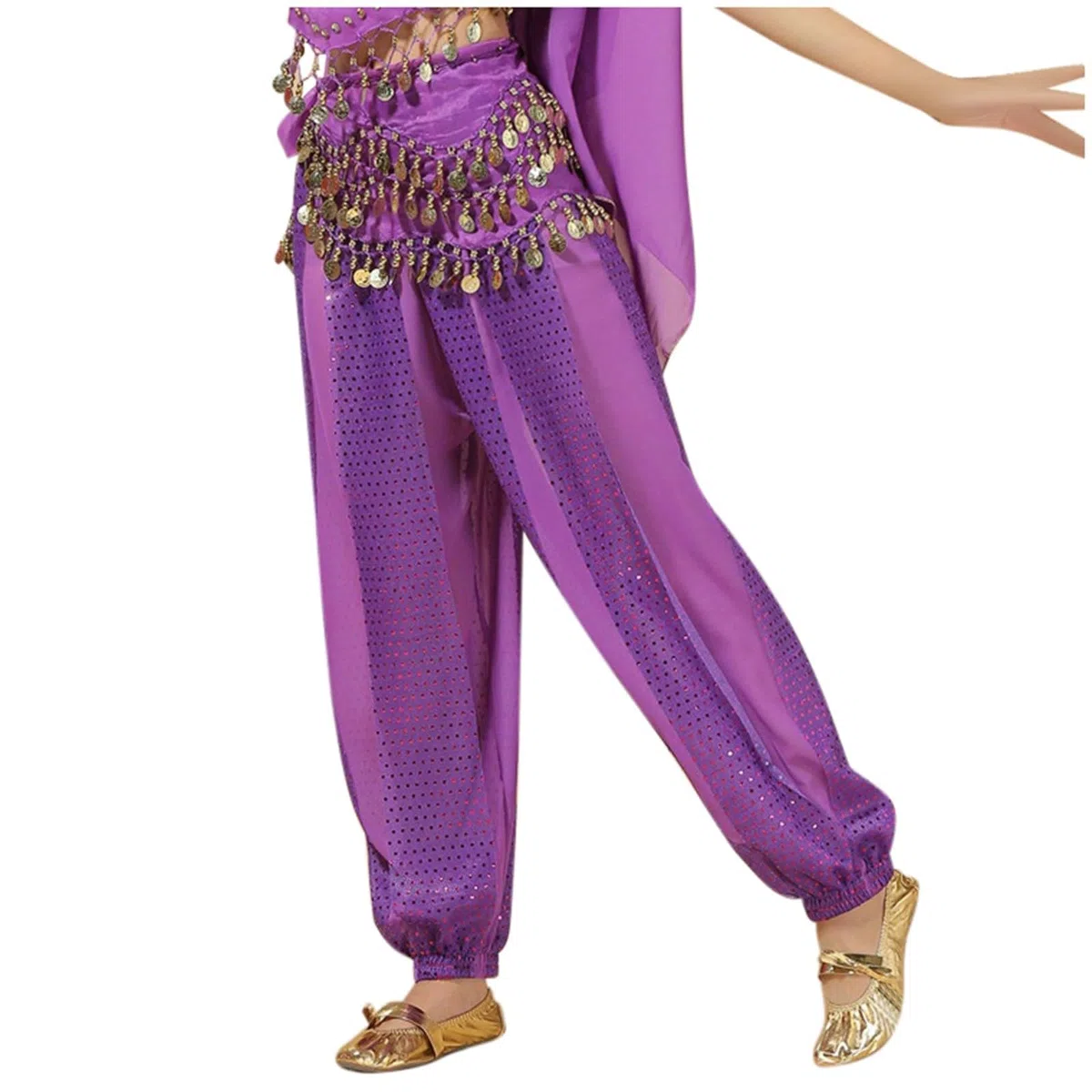 Pantalones harén de danza del vientre para mujer, chifón, tribal, árabe, lentejuelas, brillantes, sueltos, para danza del vientre, yoga, pilates, zumba, fiesta, disfraz de rendimiento