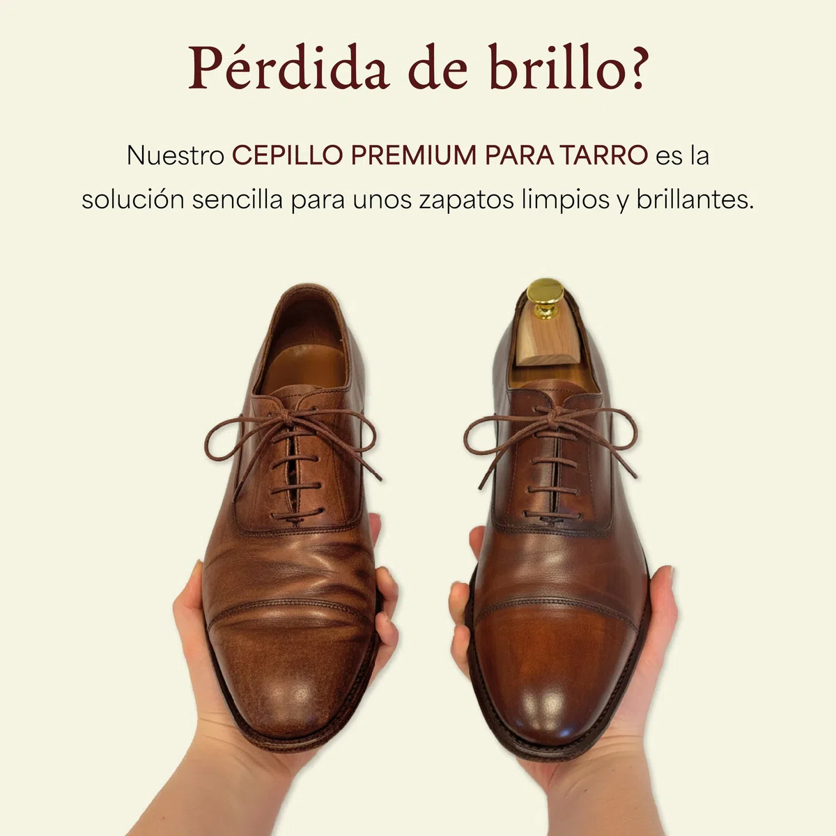 Langer & Messmer Cepillo de Crin Fina para la aplicación de betún y Cera para Calzado - El Cepillo de aplicación para el Cuidado Profesional del Calzado - Individual o en Juego de 2