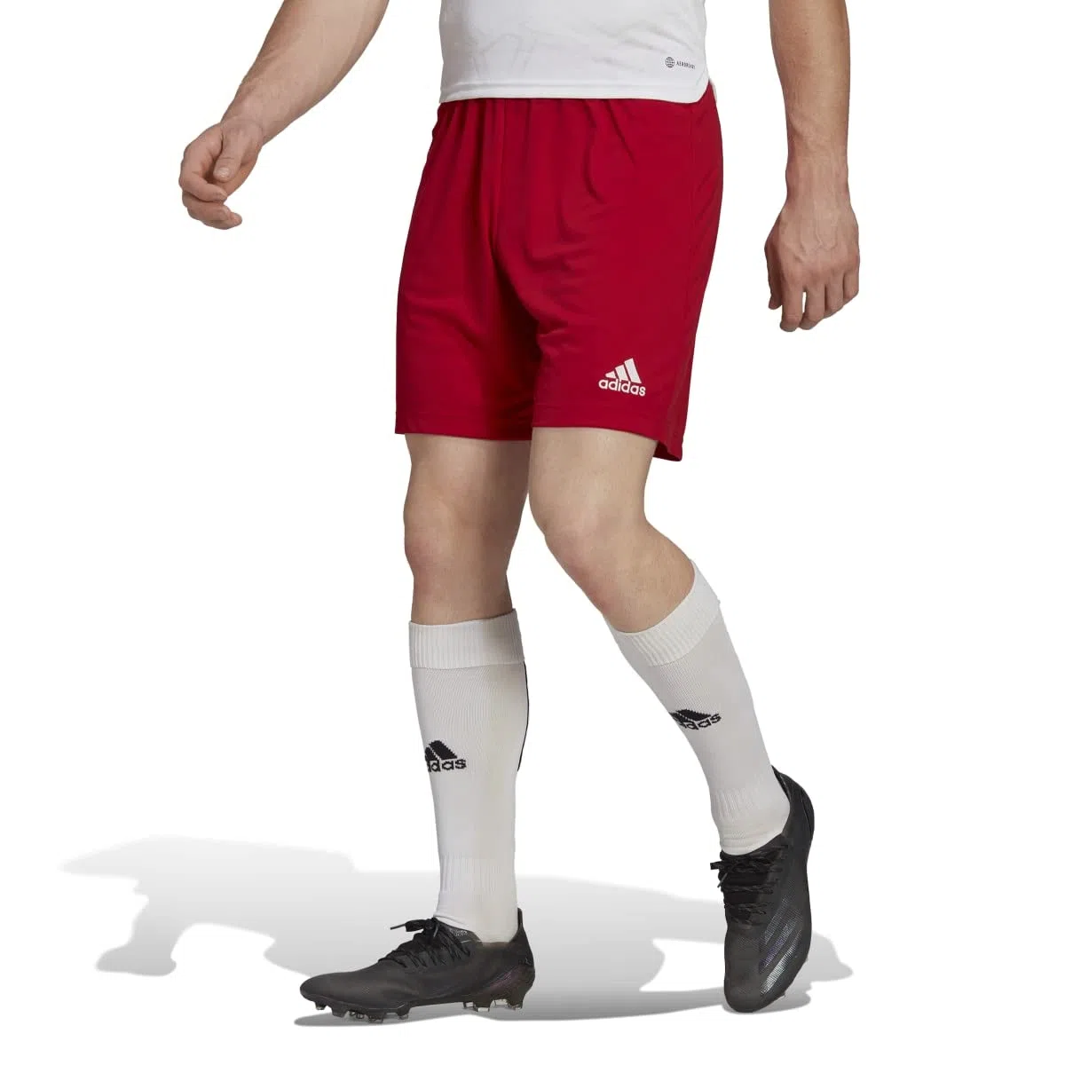 Adidas Hombre Entrada 22 Shorts